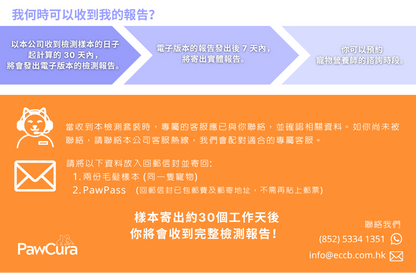 300+ 基本版致敏源不耐受性檢測套裝