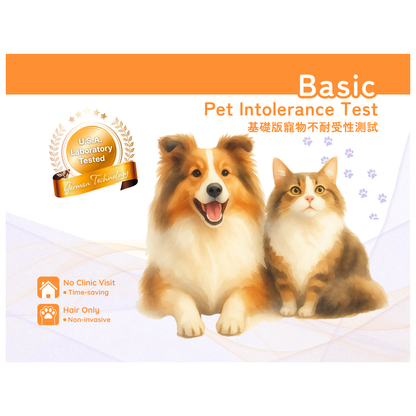 300+ Basic Food Sensitivity Test Kit